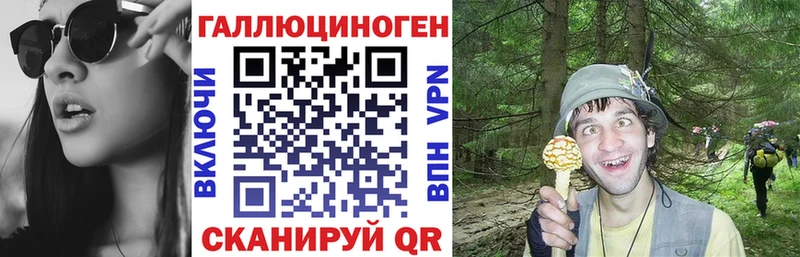 Галлюциногенные грибы MAGIC MUSHROOMS  Сокол 