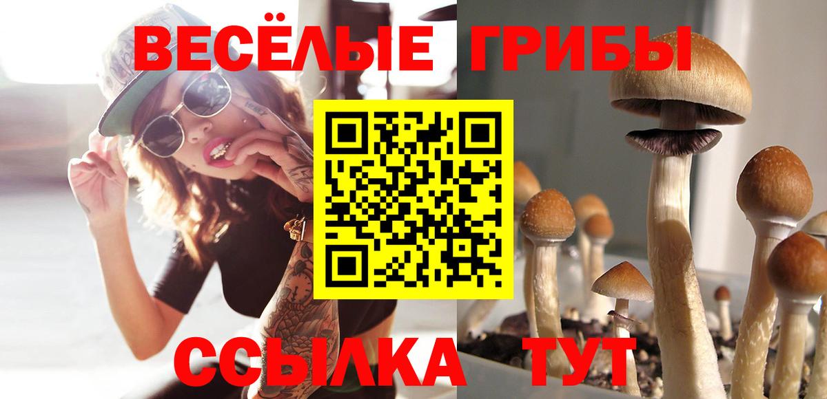 Галлюциногенные грибы прущие грибы  Вход с VPN  Сокол 