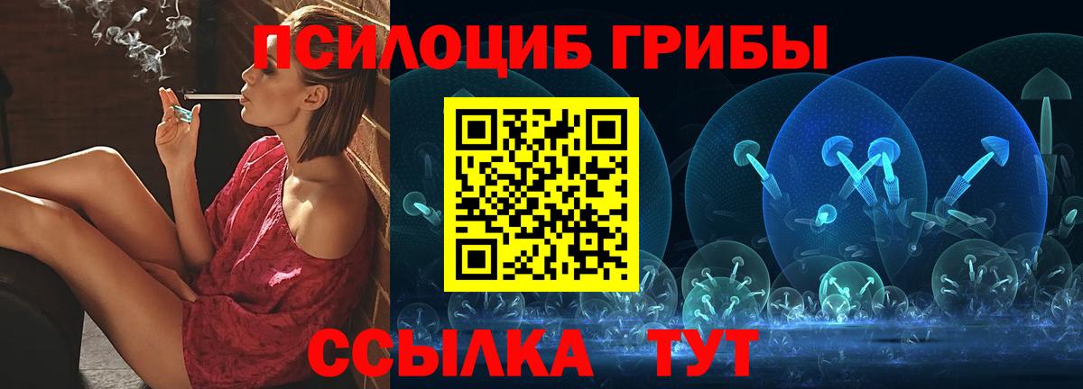 Псилоцибиновые грибы мицелий Сокол